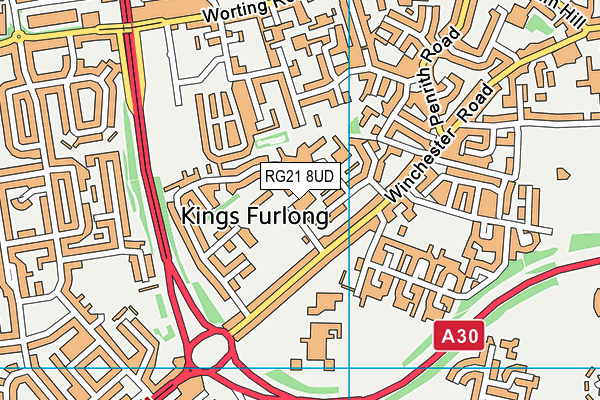 RG21 8UD map - OS VectorMap District (Ordnance Survey)