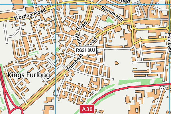 RG21 8UJ map - OS VectorMap District (Ordnance Survey)