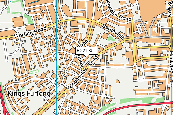 RG21 8UT map - OS VectorMap District (Ordnance Survey)