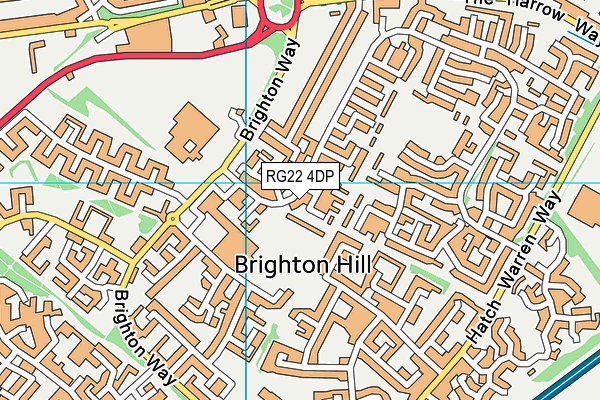 RG22 4DP map - OS VectorMap District (Ordnance Survey)