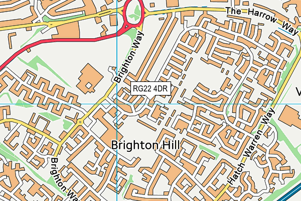 RG22 4DR map - OS VectorMap District (Ordnance Survey)