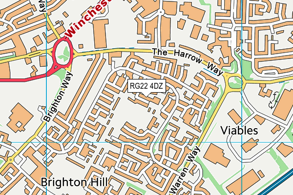 RG22 4DZ map - OS VectorMap District (Ordnance Survey)