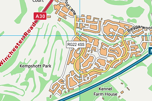 RG22 4SS map - OS VectorMap District (Ordnance Survey)