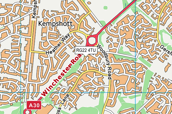 RG22 4TU map - OS VectorMap District (Ordnance Survey)