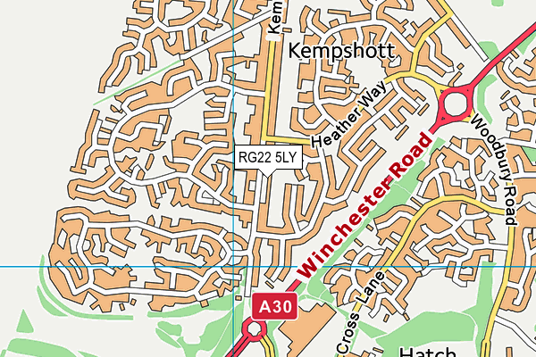 RG22 5LY map - OS VectorMap District (Ordnance Survey)
