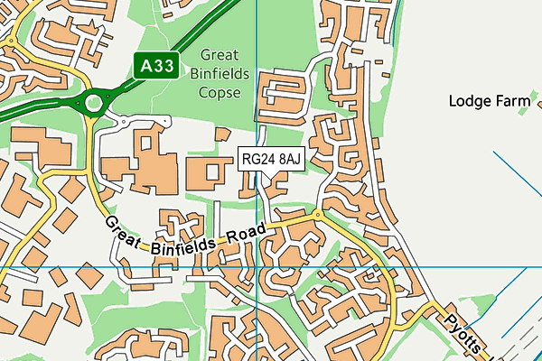 Great Binfields Primary School map (RG24 8AJ) - OS VectorMap District (Ordnance Survey)