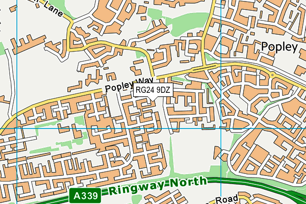 RG24 9DZ map - OS VectorMap District (Ordnance Survey)