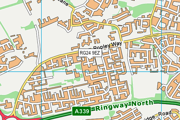 RG24 9EZ map - OS VectorMap District (Ordnance Survey)