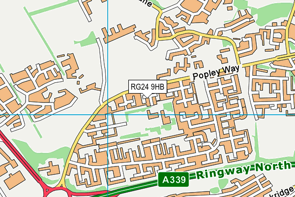 Merton Junior School map (RG24 9HB) - OS VectorMap District (Ordnance Survey)