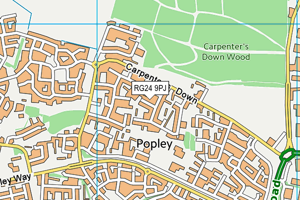 RG24 9PJ map - OS VectorMap District (Ordnance Survey)