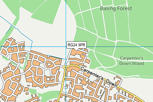 RG24 9PR map - OS VectorMap District (Ordnance Survey)