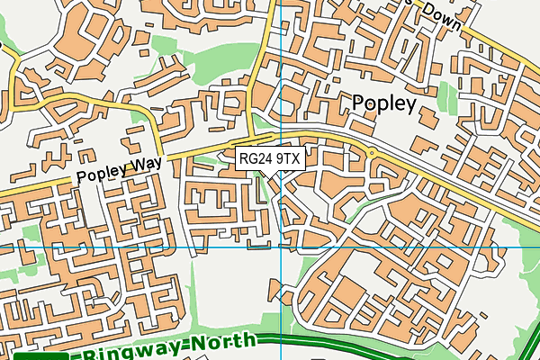 RG24 9TX map - OS VectorMap District (Ordnance Survey)