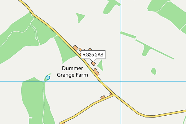 RG25 2AS map - OS VectorMap District (Ordnance Survey)