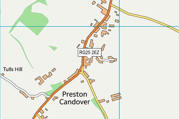 RG25 2EZ map - OS VectorMap District (Ordnance Survey)