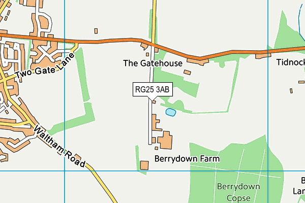 RG25 3AB map - OS VectorMap District (Ordnance Survey)