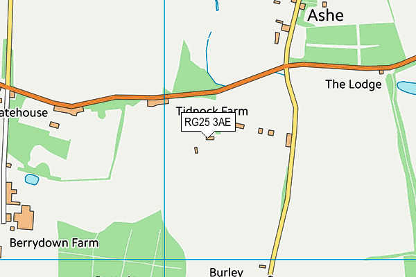 RG25 3AE map - OS VectorMap District (Ordnance Survey)