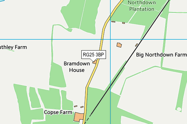 RG25 3BP map - OS VectorMap District (Ordnance Survey)