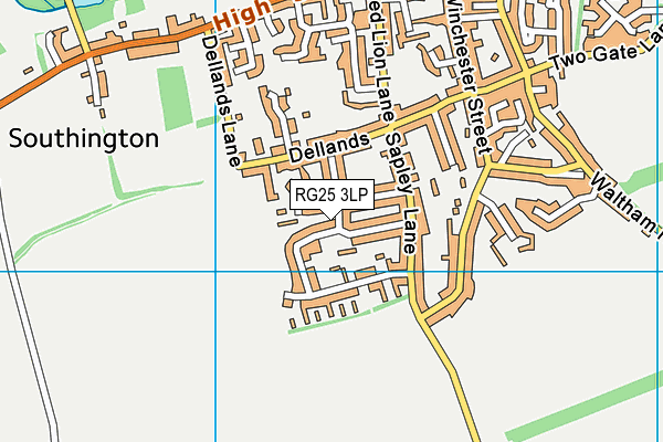 RG25 3LP map - OS VectorMap District (Ordnance Survey)