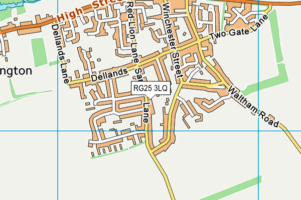 RG25 3LQ map - OS VectorMap District (Ordnance Survey)