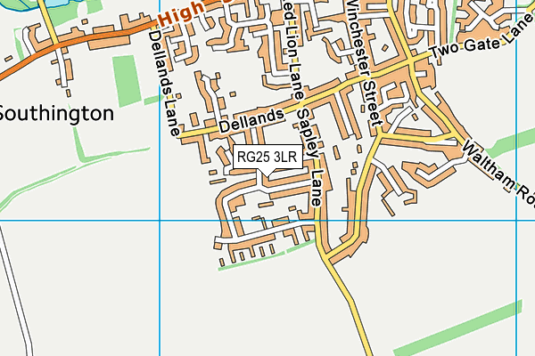 RG25 3LR map - OS VectorMap District (Ordnance Survey)