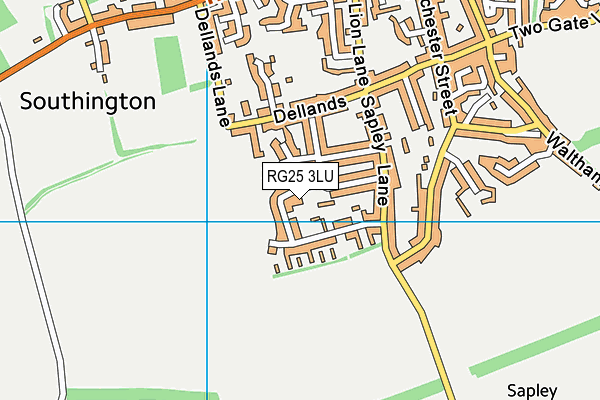 RG25 3LU map - OS VectorMap District (Ordnance Survey)