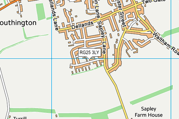RG25 3LY map - OS VectorMap District (Ordnance Survey)