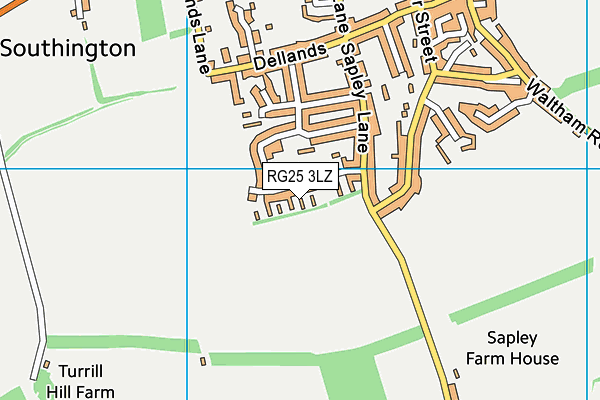 RG25 3LZ map - OS VectorMap District (Ordnance Survey)