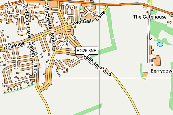 RG25 3NE map - OS VectorMap District (Ordnance Survey)