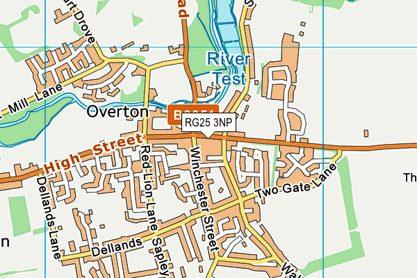 RG25 3NP map - OS VectorMap District (Ordnance Survey)