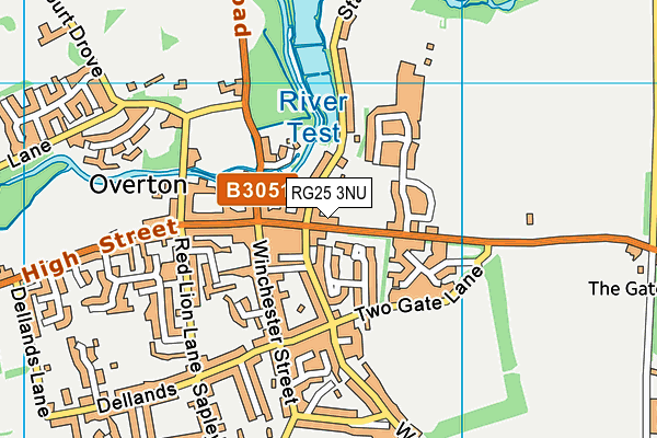 RG25 3NU map - OS VectorMap District (Ordnance Survey)