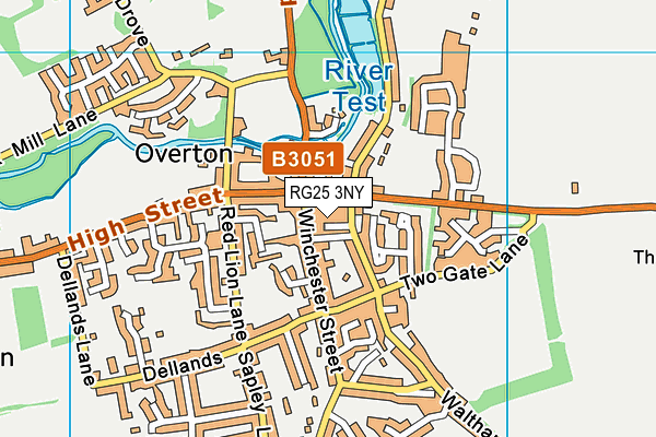RG25 3NY map - OS VectorMap District (Ordnance Survey)