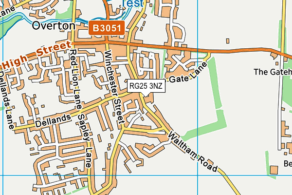 RG25 3NZ map - OS VectorMap District (Ordnance Survey)