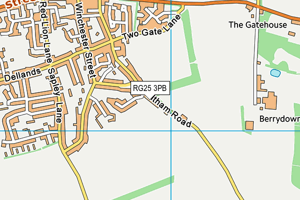 RG25 3PB map - OS VectorMap District (Ordnance Survey)
