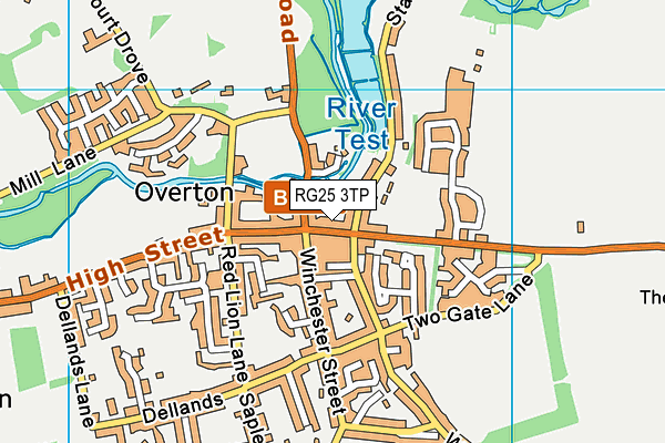 RG25 3TP map - OS VectorMap District (Ordnance Survey)