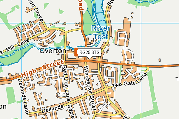 RG25 3TS map - OS VectorMap District (Ordnance Survey)