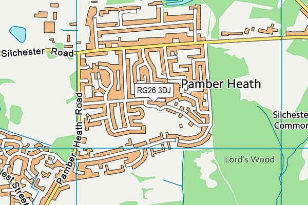 RG26 3DJ map - OS VectorMap District (Ordnance Survey)