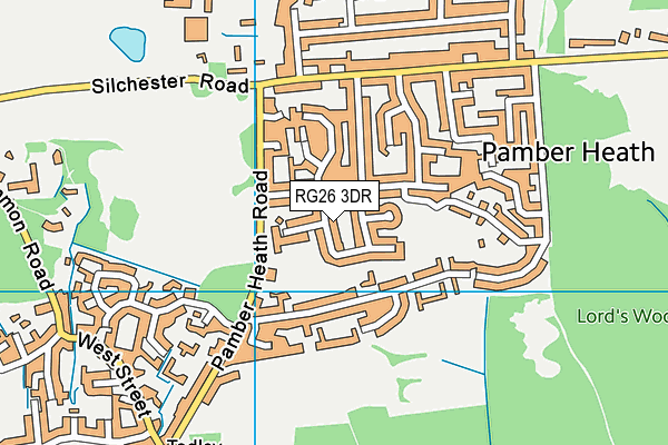 RG26 3DR map - OS VectorMap District (Ordnance Survey)