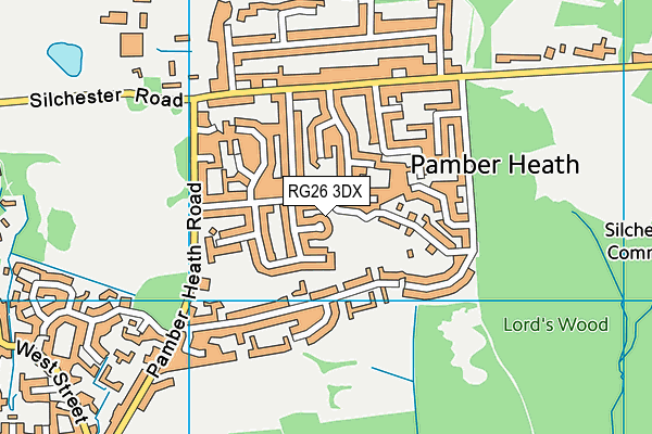 RG26 3DX map - OS VectorMap District (Ordnance Survey)