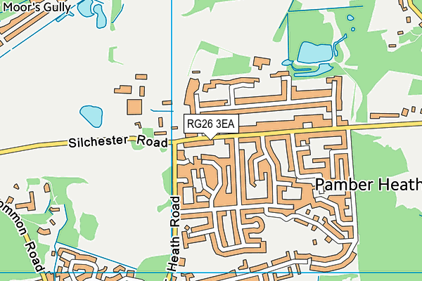 RG26 3EA map - OS VectorMap District (Ordnance Survey)