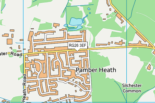 RG26 3EF map - OS VectorMap District (Ordnance Survey)