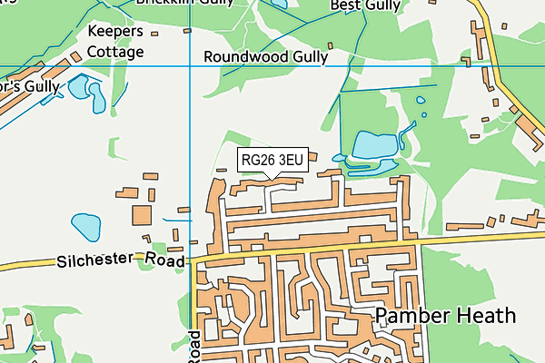 RG26 3EU map - OS VectorMap District (Ordnance Survey)