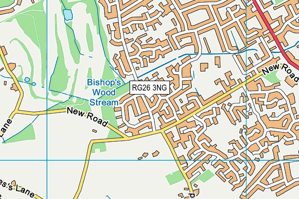 RG26 3NG map - OS VectorMap District (Ordnance Survey)