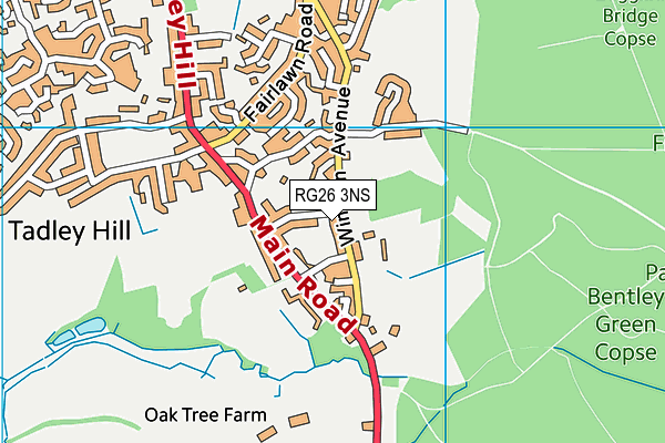 RG26 3NS map - OS VectorMap District (Ordnance Survey)