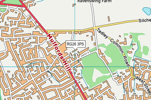RG26 3PS map - OS VectorMap District (Ordnance Survey)