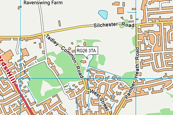 RG26 3TA map - OS VectorMap District (Ordnance Survey)