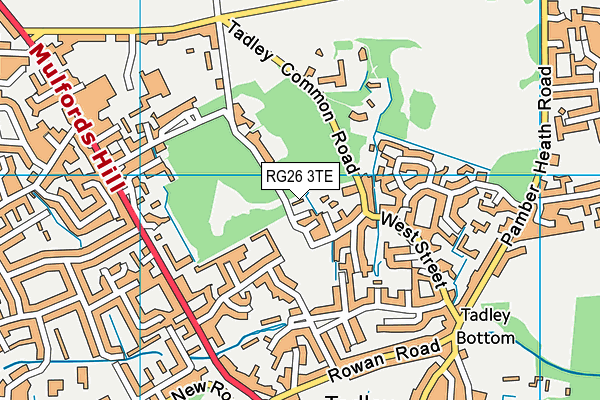 RG26 3TE map - OS VectorMap District (Ordnance Survey)