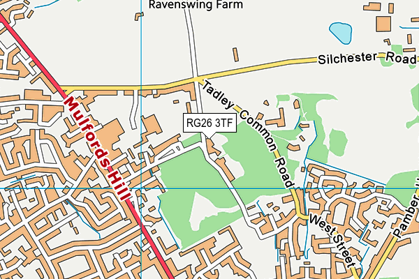 RG26 3TF map - OS VectorMap District (Ordnance Survey)