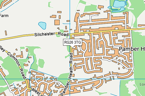 RG26 3TG map - OS VectorMap District (Ordnance Survey)