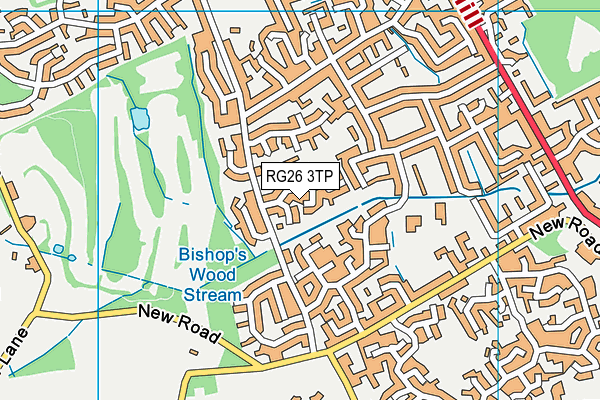 RG26 3TP map - OS VectorMap District (Ordnance Survey)