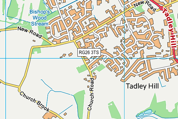 RG26 3TS map - OS VectorMap District (Ordnance Survey)